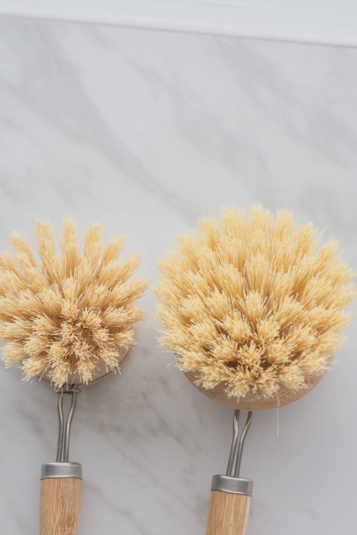 CASA AGAVE® dish brush replacement head only - No Tox Life